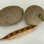 Pees in pod and potatoes